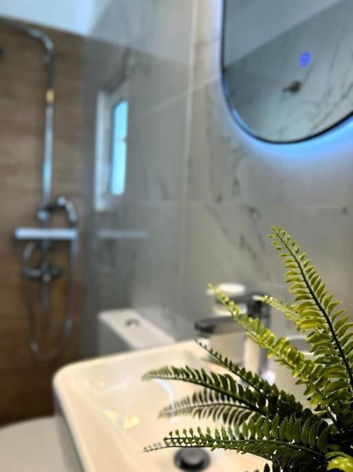 Exquisite Penthouse With Breathtaking Acropolis Panorama View Appartement Athene Buitenkant foto